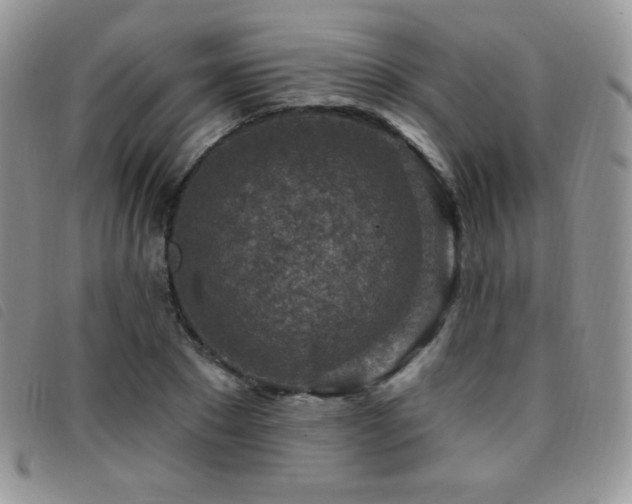 X0000095960881200801111400