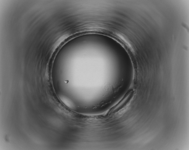 X0000095960883200801111400