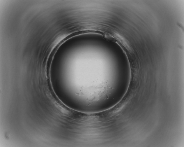 X0000095960884200801111400