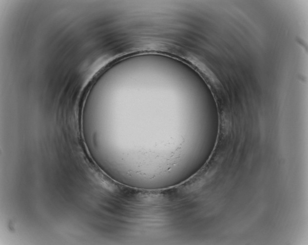 X0000095960886200801111400
