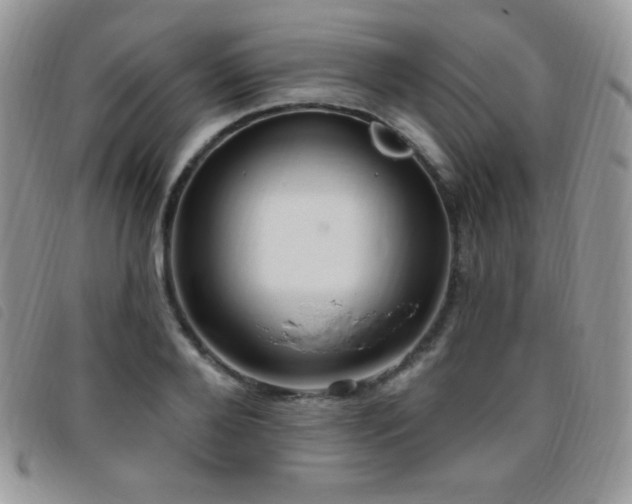 X0000095960888200801111400