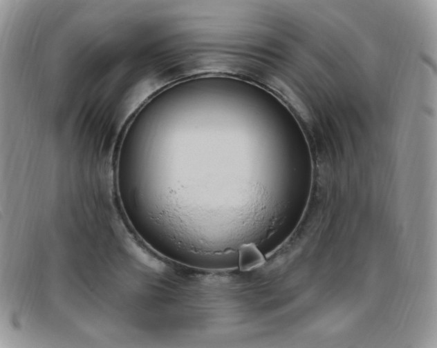 X0000095960890200801111400