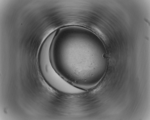 X0000095960892200801111359