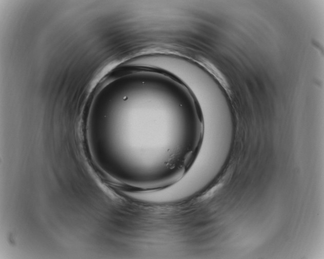 X0000095960893200801111359