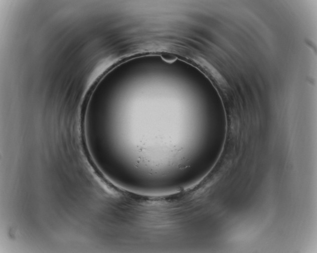 X0000095960894200801111359