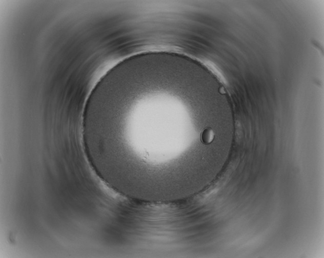X0000095960895200801111359