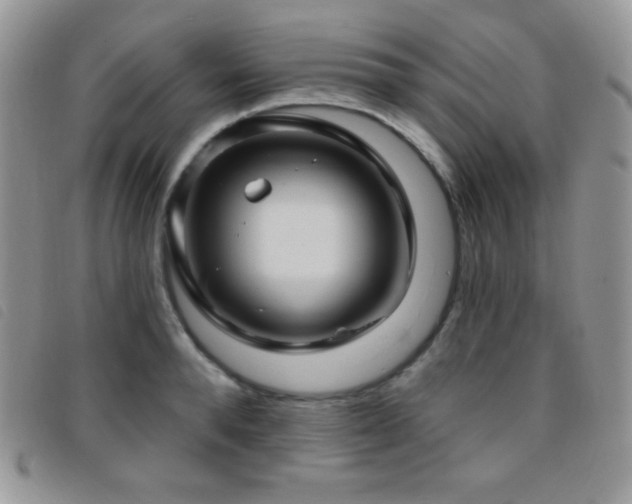 X0000095960896200801111359