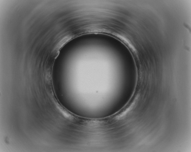X0000095960897200801111359