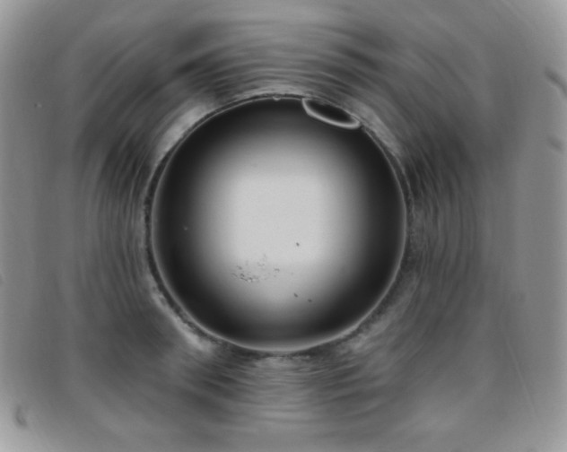 X0000095960898200801111359