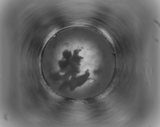 X0000095960899200801111359
