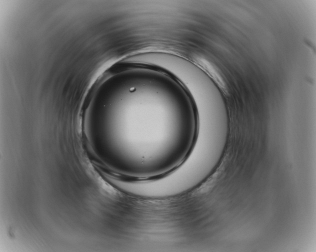 X0000095960900200801111359