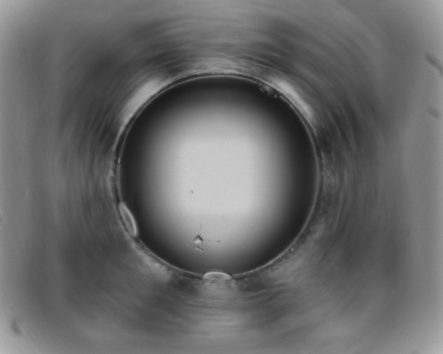 X0000095960901200801111359
