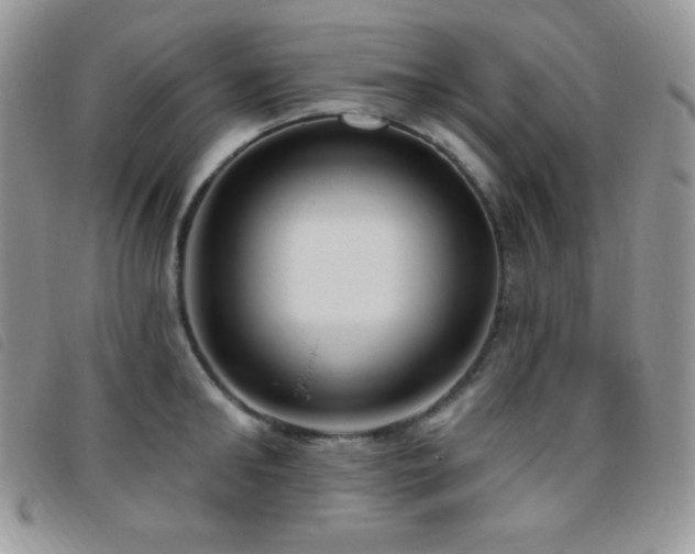 X0000095960902200801111359
