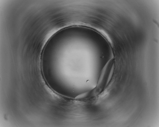 X0000095960903200801111359