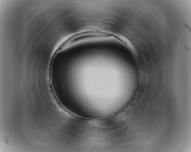 X0000095960904200801111359