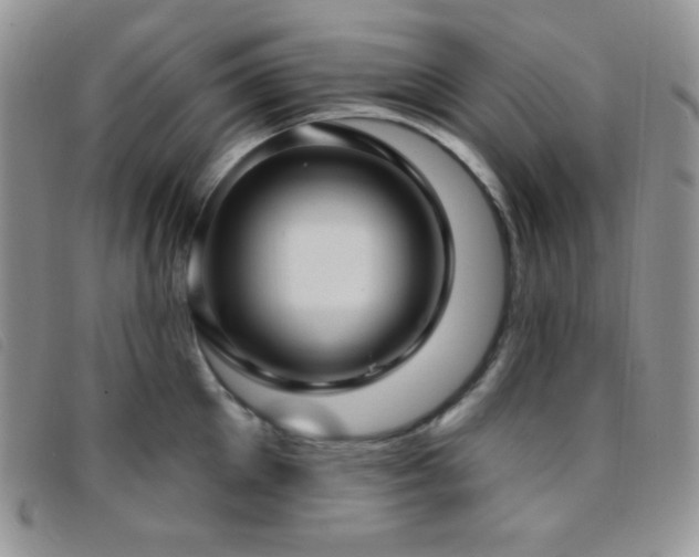 X0000095960905200801111359