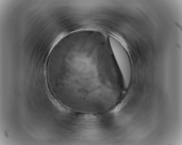 X0000095960907200801111359