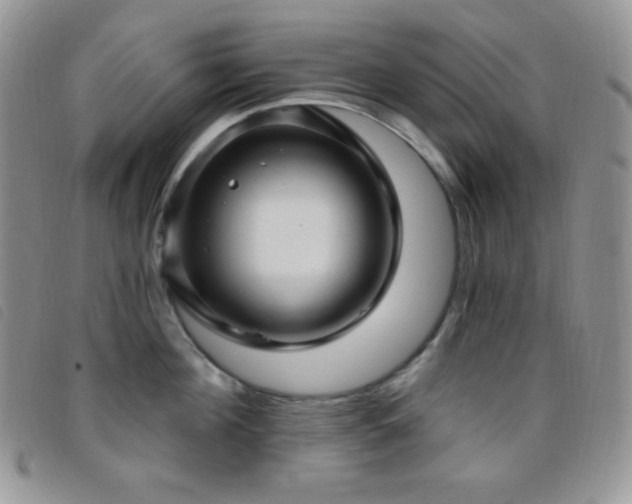X0000095960908200801111359