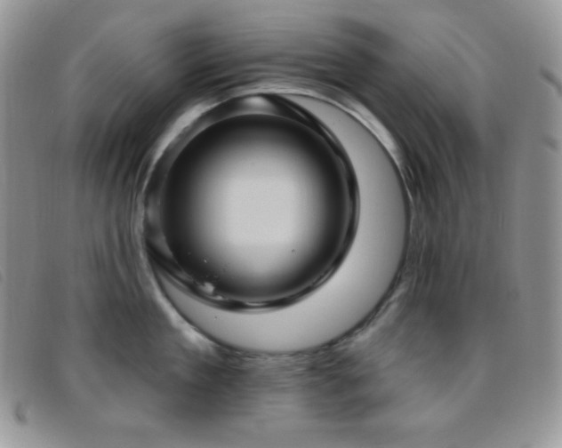 X0000095960909200801111359