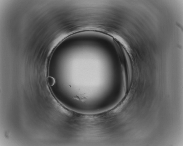 X0000095960910200801111359