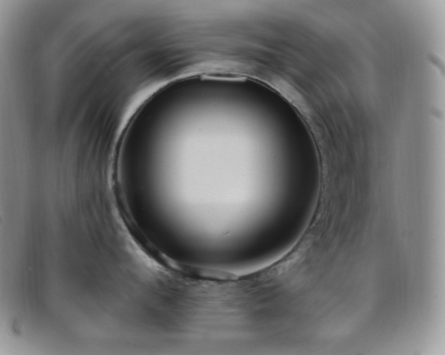 X0000095960912200801111359