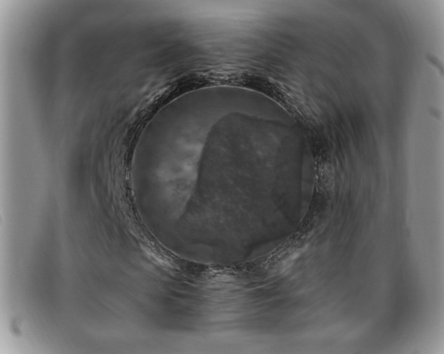 X0000095960913200801111359