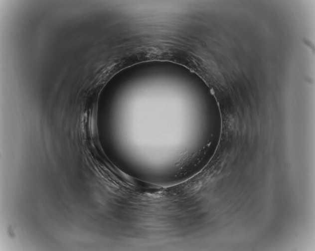 X0000095960914200801111359