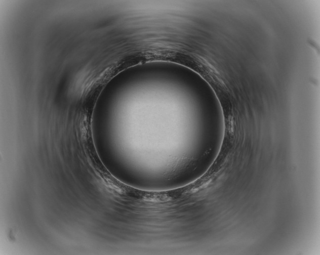 X0000095960915200801111359