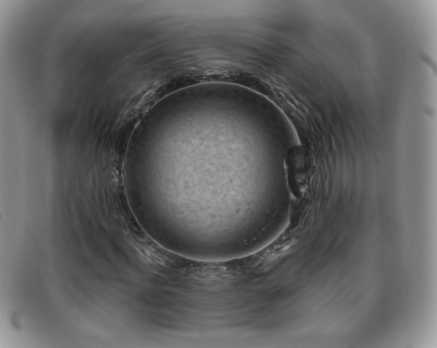 X0000095960916200801111359