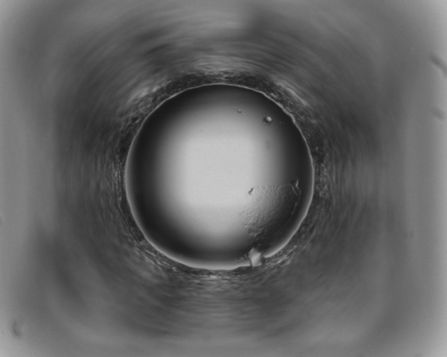 X0000095960917200801111359