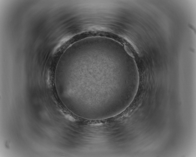 X0000095960919200801111359