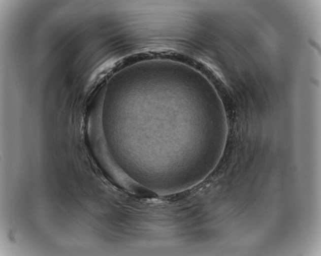 X0000095960920200801111359