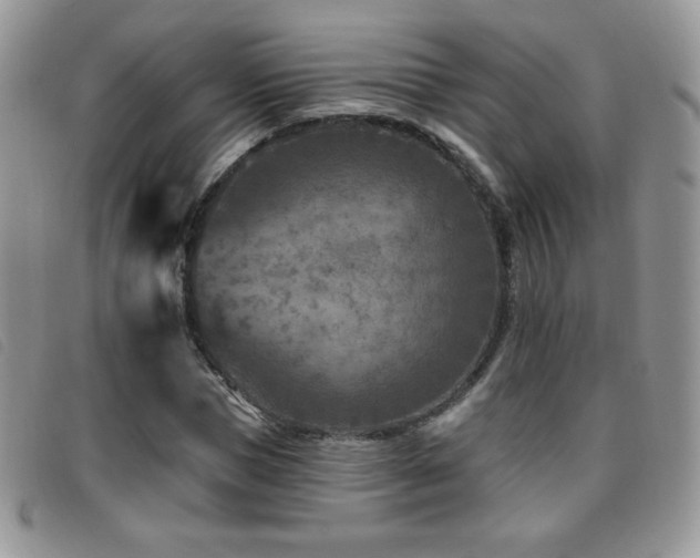 X0000095960921200801111359