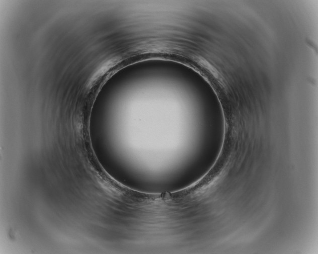 X0000095960922200801111359