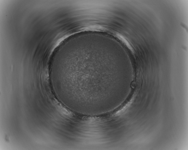 X0000095960923200801111359