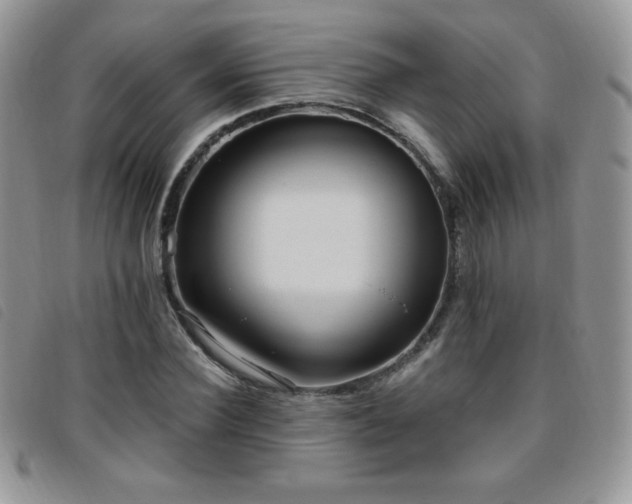 X0000095960924200801111359