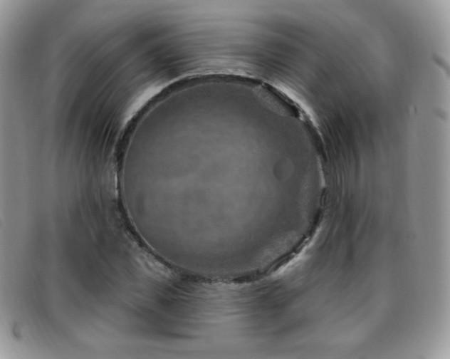 X0000095960925200801111359
