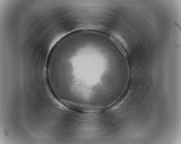 X0000095960928200801111359