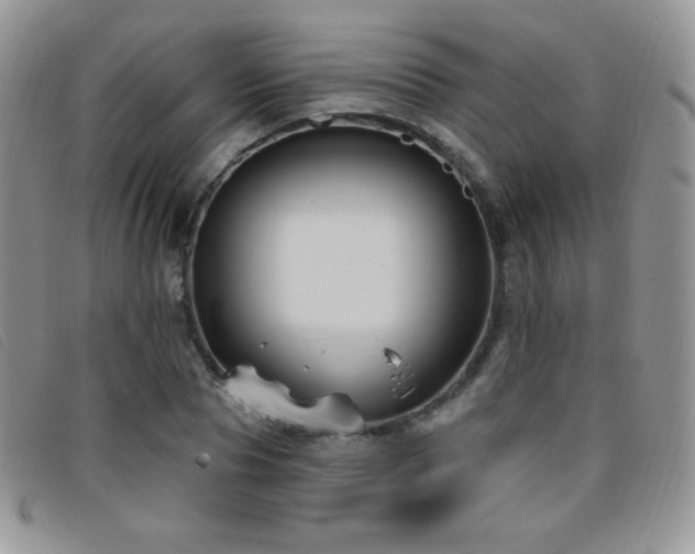 X0000095960929200801111359