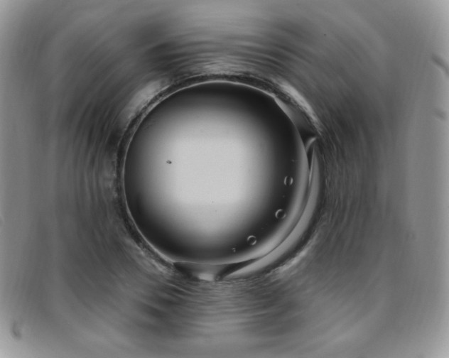 X0000095960930200801111359