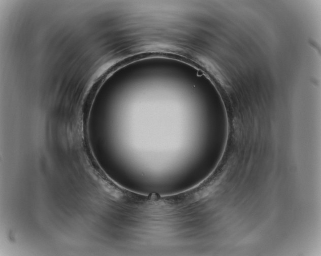 X0000095960931200801111359
