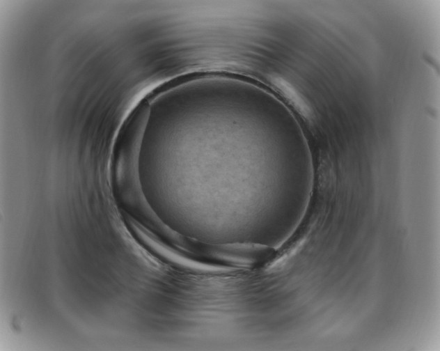 X0000095960932200801111359