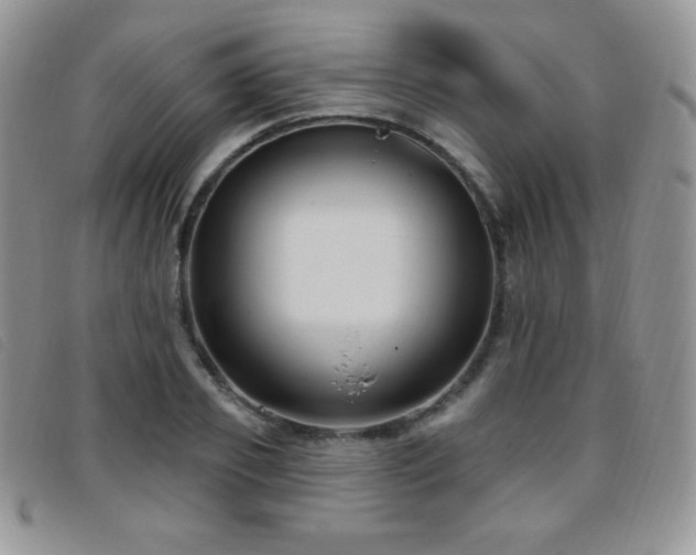 X0000095960933200801111359