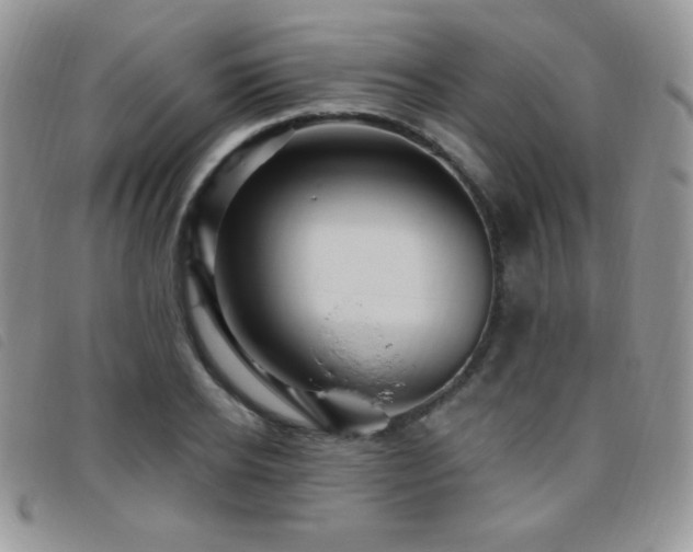 X0000095960934200801111359