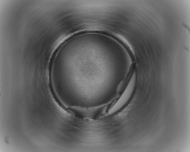 X0000095960935200801111359