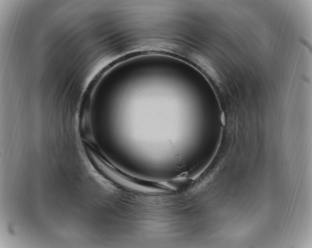 X0000095960936200801111359
