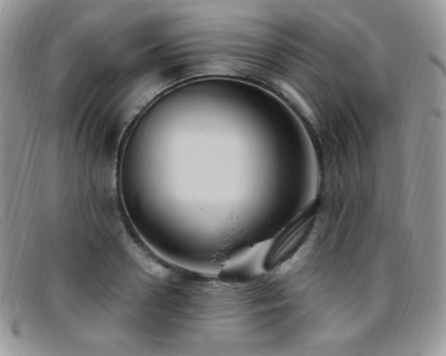 X0000095960938200801111359