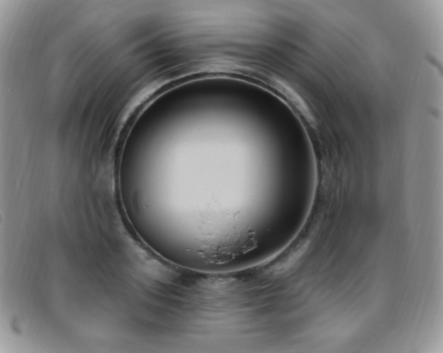 X0000095960939200801111359