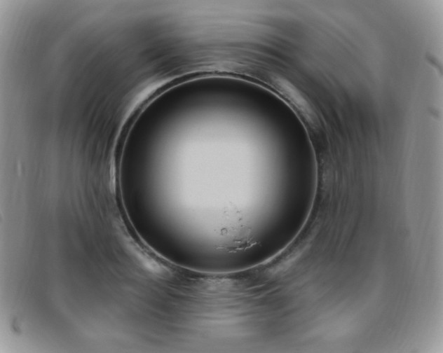 X0000095960940200801111359