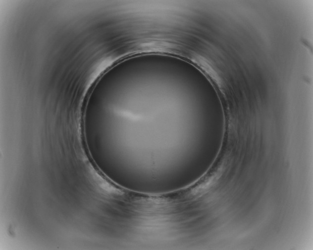 X0000095960941200801111359